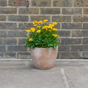 Antique Stone Handmade Egg Planter (D27cm x H21cm) Outdoor Plant Pot - image 3