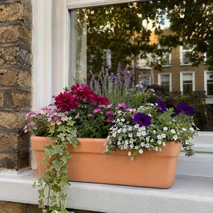 Arena Venezia Window Box (L30cm x W 18-16 x H16) - image 3