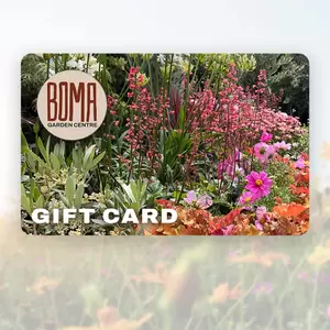 Boma Gift Card - image 2