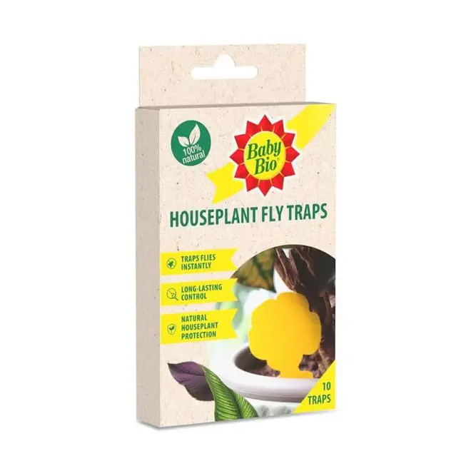 Baby Bio Houseplant Fly Traps