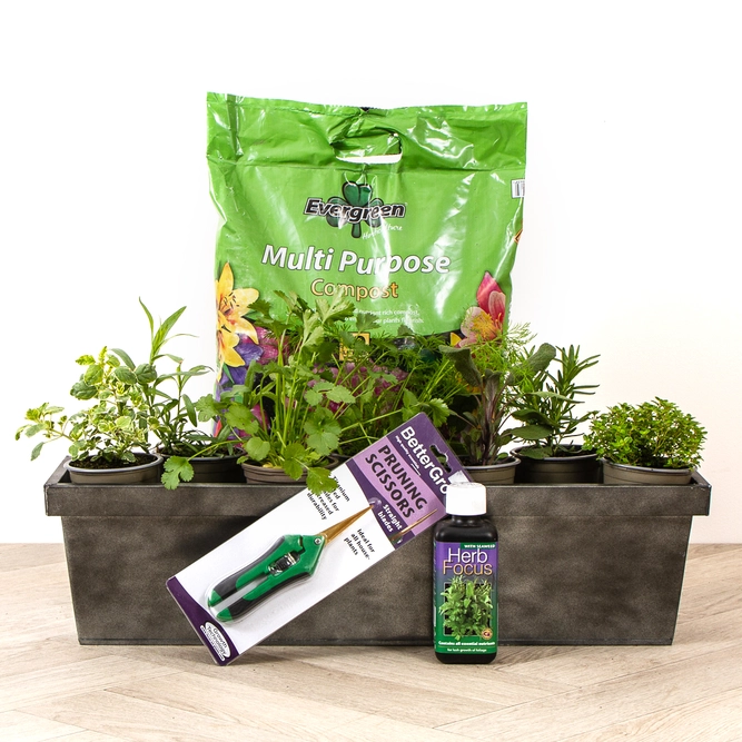 BBQ Lovers Herb Garden Trough Gift Set - image 1