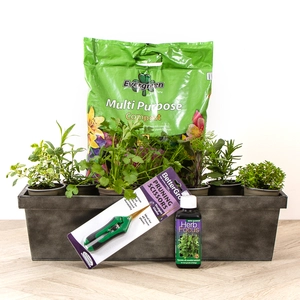 BBQ Lovers Herb Garden Trough Gift Set