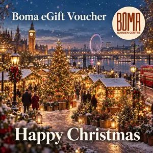 "Big Ben Christmas" eGift Voucher