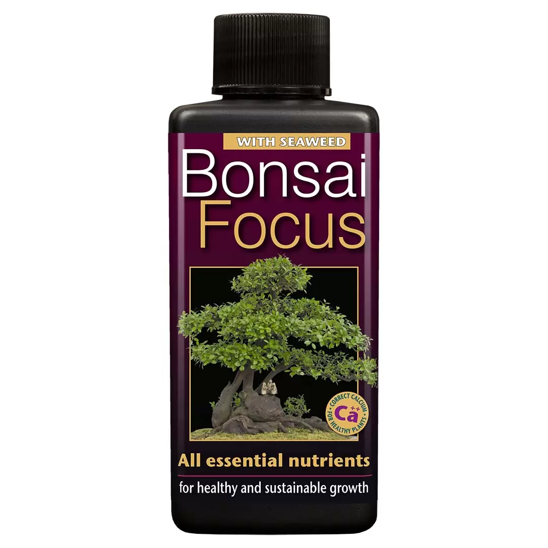 Bonsai Focus 100ml Bonsai Plant Food The Boma Garden Centre