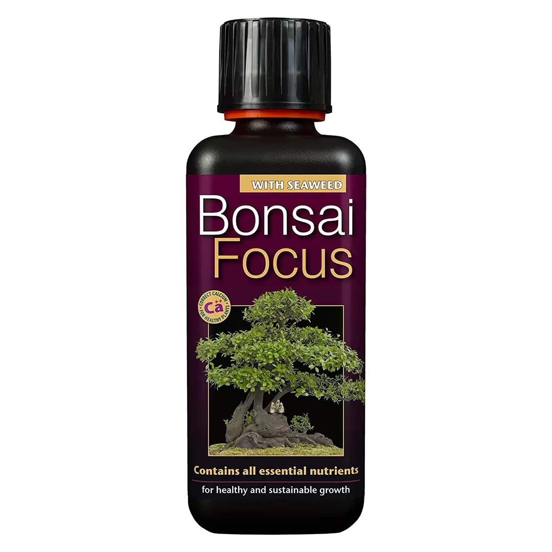 Bonsai Focus 300ml Bonsai Plant Food The Boma Garden Centre