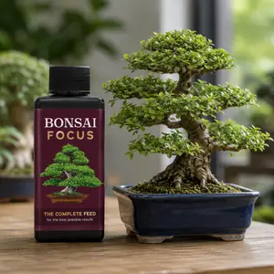 Bonsai Focus 300ml Bonsai Plant Food - image 2