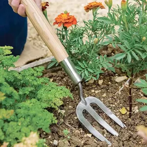 Border Hand Fork - image 1