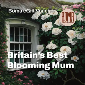 "Britain's Best Blooming Mum" eGift Voucher