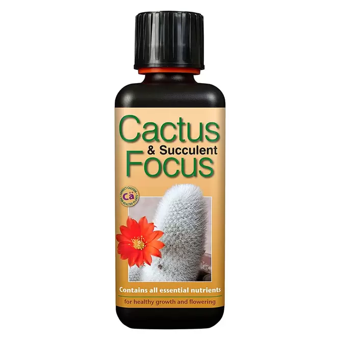 Cactus and Succulent Focus 300ml Cactus & Succulent Plant Food - image 1