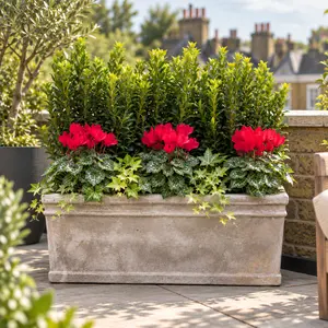 Canterbury Cloister Privacy Box - Red