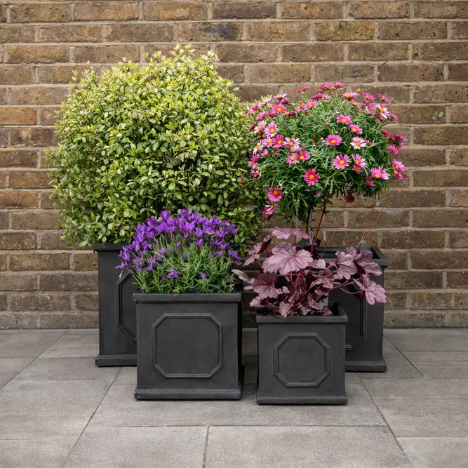 Chelsea Square Planter (L65xH65xD65cm) Fibreclay Square Outdoor Planters - image 4