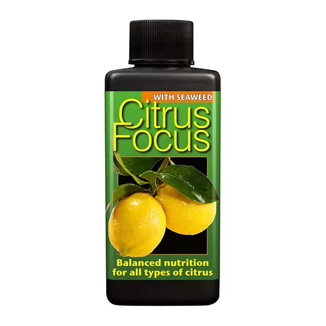Citrus Focus Plant Food 100ml