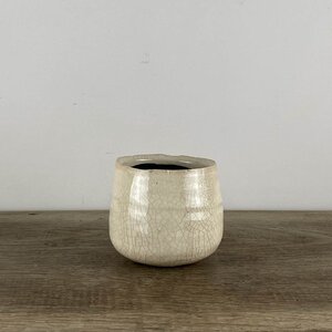 Como Ivory (D8cm x H7cm) Indoor Plant Pot Cover - image 1