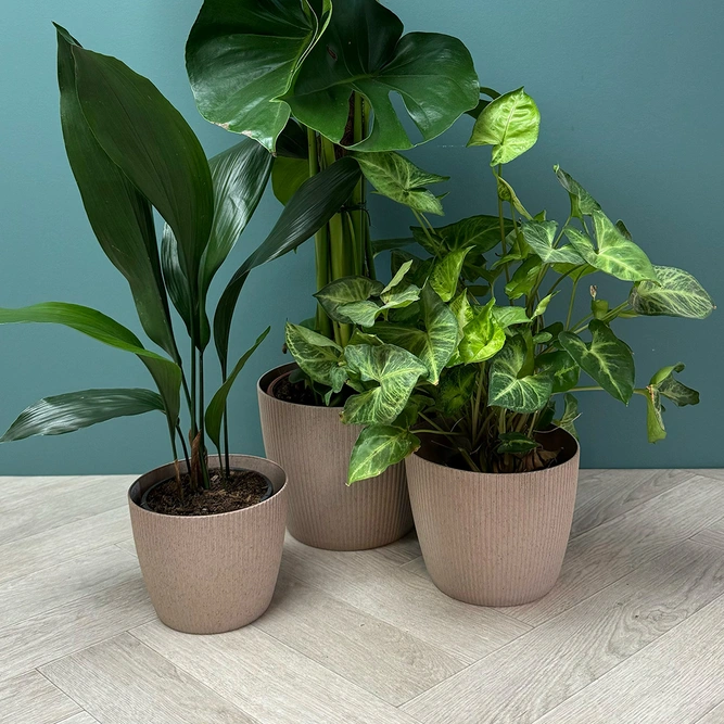 Copa Plastic Indoor Plant Pot Cover - Taupe (Pot Size 16cm) - image 2