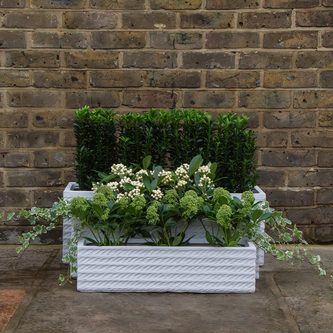 Corda Trough White (W58cm x H15cm x D15cm) Fibreclay Outdoor Trough Planter - image 2