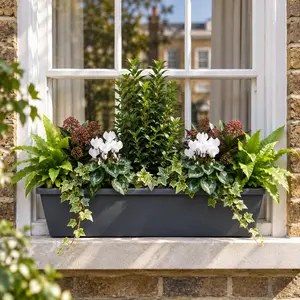 Covent Garden Evergreen Planter