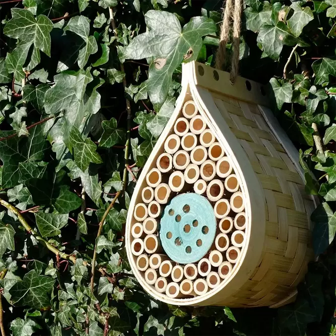 Dew Drop Bee & Bug Hotel