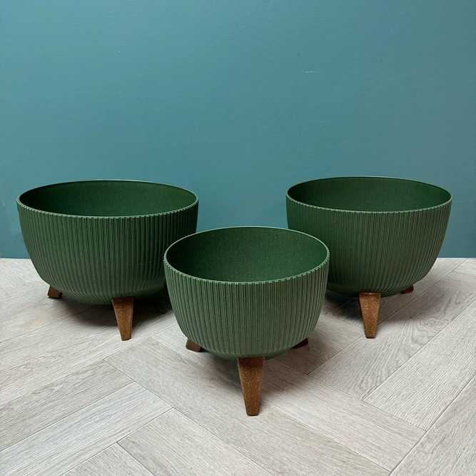 Doppio Bowl Stand Green (Pot Size H15xD24cm) - image 1