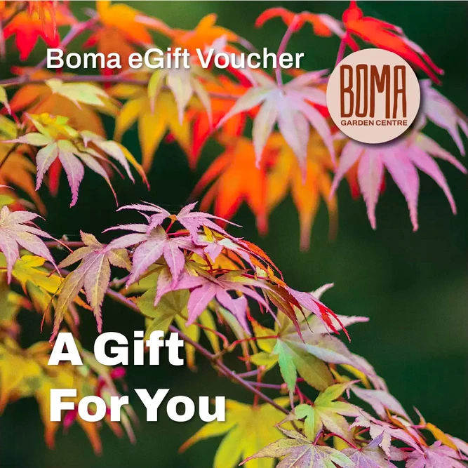 eGift Voucher - A Gift For You
