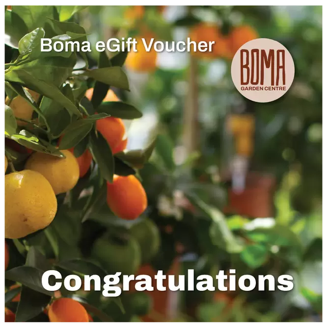 eGift Voucher - Congratulations