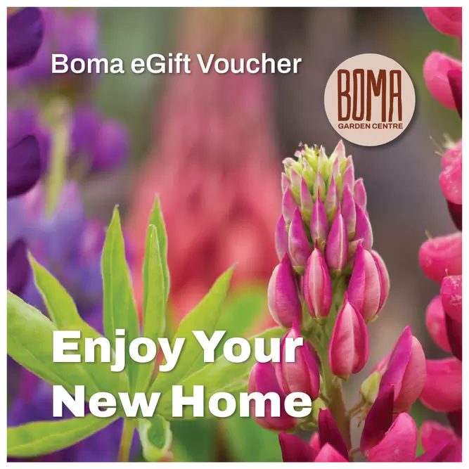 eGift Voucher - Enjoy Your New Home