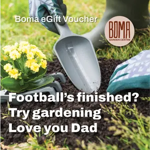 eGift Voucher - Football's Finished Try Gardening Love You Dad