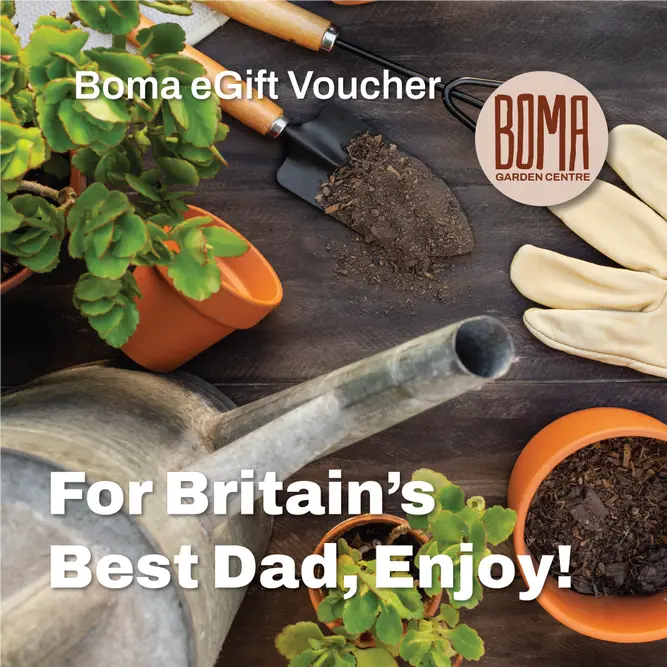 eGift Voucher - For Britain's Best Dad, Enjoy