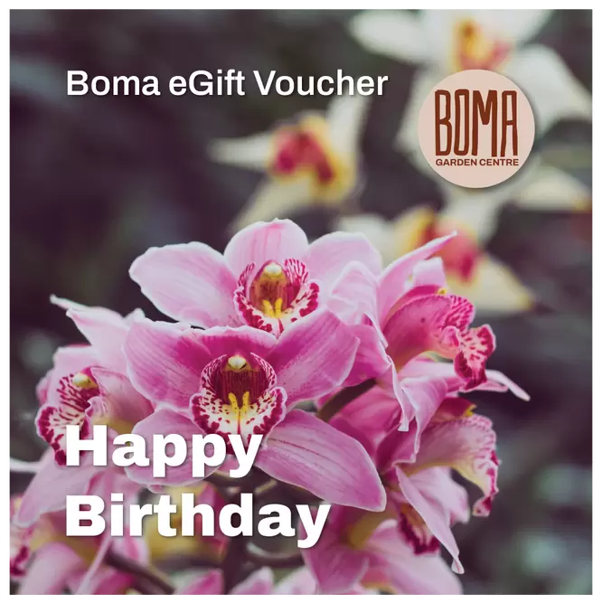 eGift Voucher - Happy Birthday