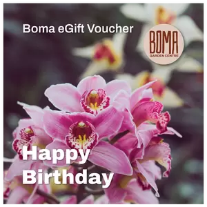 eGift Voucher - Happy Birthday