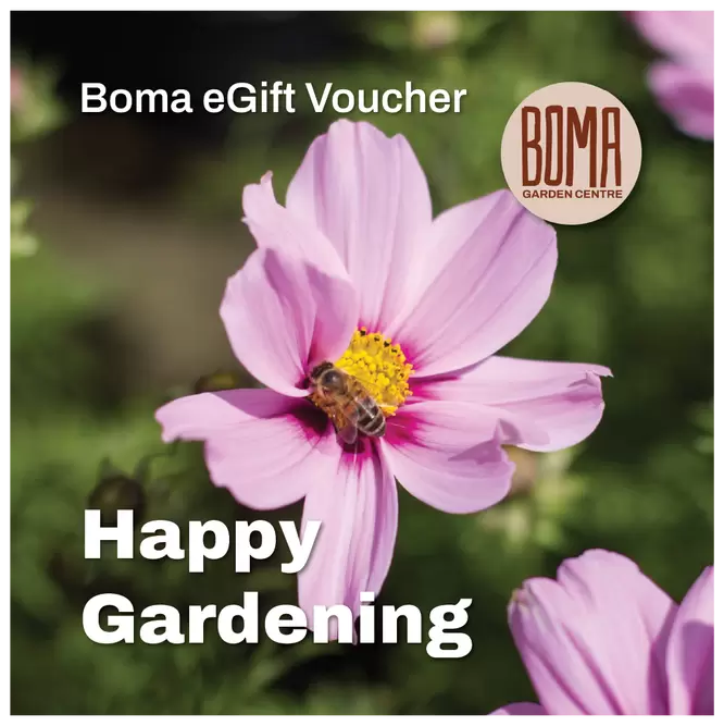 eGift Voucher - Happy Gardening