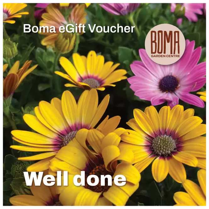 eGift Voucher - Well Done