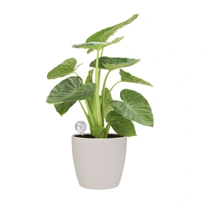 Elho Aqua Care Plant Watering System - image 4