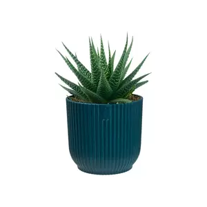 Elho Eco-Plastic Blue (Pot Size 7cm) Indoor Plant Pot Cover - image 2