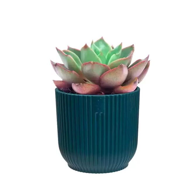 Elho Eco-Plastic Blue (Pot Size 7cm) Indoor Plant Pot Cover - image 3