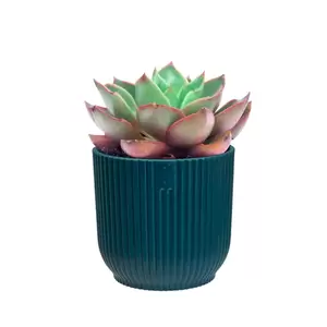 Elho Eco-Plastic Blue (Pot Size 9cm) Indoor Plant Pot Cover - image 2