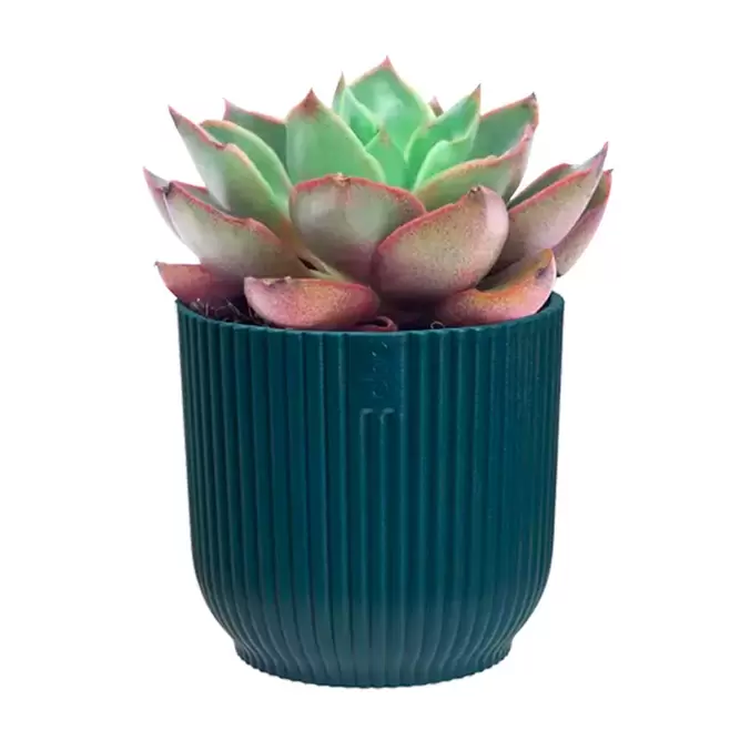 Elho Eco-Plastic Blue (Pot Size 11cm) Indoor Plant Pot Cover - image 2