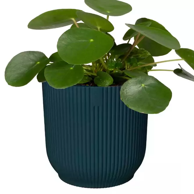 Elho Eco-Plastic Blue (Pot Size 30cm) Indoor Plant Pot Cover - image 2
