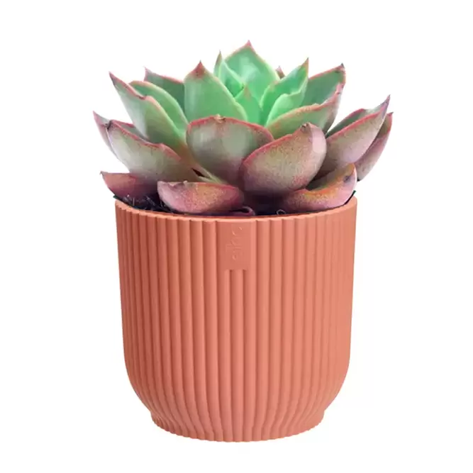 Elho Eco-Plastic Pink (Pot Size 7cm) Indoor Plant Pot Cover - image 2