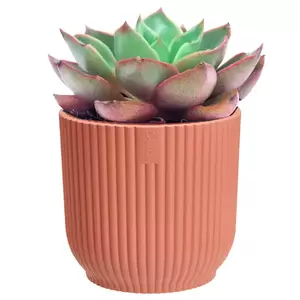Elho Eco-Plastic Pink (Pot Size 11cm) Indoor Plant Pot Cover - image 2
