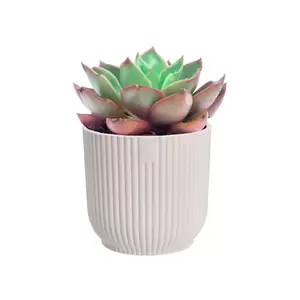 Elho Eco-Plastic White (Pot Size 9cm) Indoor Plant Pot Cover - image 3