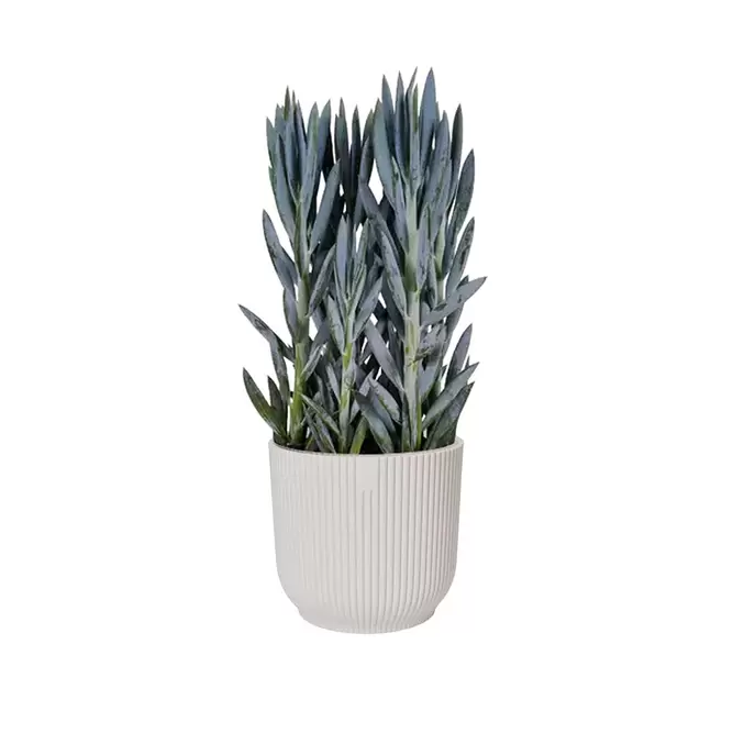 Elho Eco-Plastic White (Pot Size 14cm) Indoor Plant Pot Cover - image 2