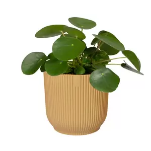 Elho Eco-Plastic Yellow (Pot Size 14cm) Indoor Plant Pot Cover - image 2