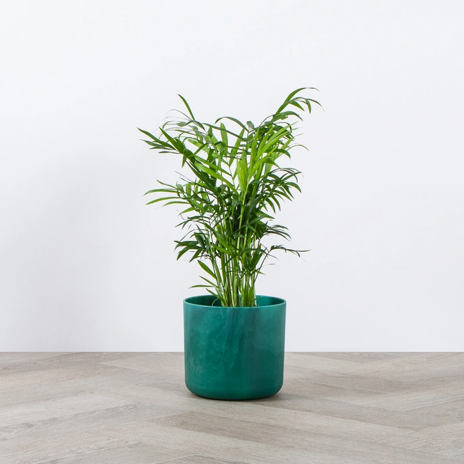 Elho Ocean Collection Green (Pot Size 14cm) Indoor Plant Pot Cover - image 3