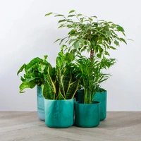 Elho Pots