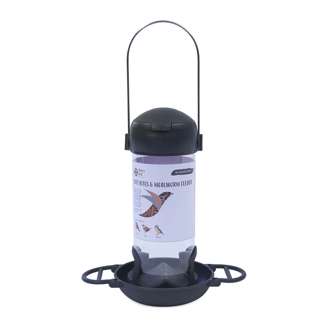 Essentials Wild Bird Suet Bites & Mealworm Bird Feeder -  Henry Bell