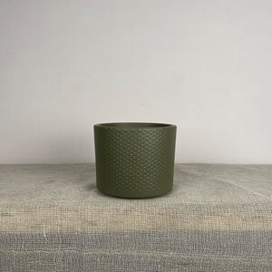 Etta Green Relief  D12cm x H10cm Indoor Plant Pot Cover - image 1