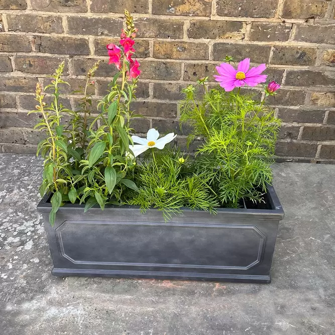 Fibreglass Clay Rectangular Trough Planter 50cm - image 14