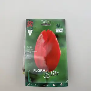 Flower Bulbs - 10 Tulip Kingsblood - image 3