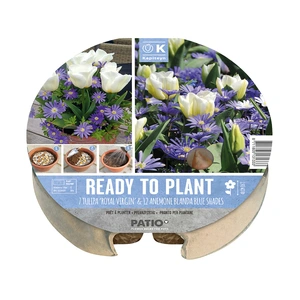 Flower Bulbs - 19 Plant-O-Mat Tulip & Anemone