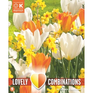 Flower Bulbs - 24 Combi Tulip Orange/White & Narcis Yellow/Orange